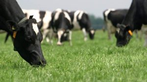 Geen generaal pardon voor PAS-melders