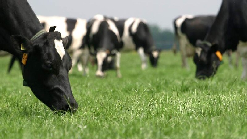 Geen generaal pardon voor PAS-melders