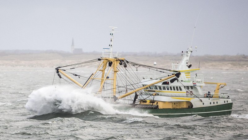 Veel kotters verdwijnen uit de Noordkop