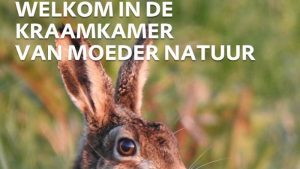 Boswachters: “Blijf op de paden!”