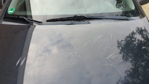 In Schagen minder auto’s vernield