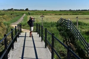 Wandel met gids door Struingebied Kruiszwin