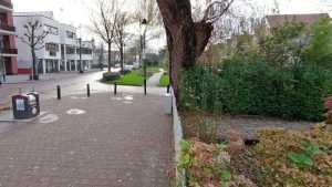 Mogelijk boom weg voor afvalcontainer
