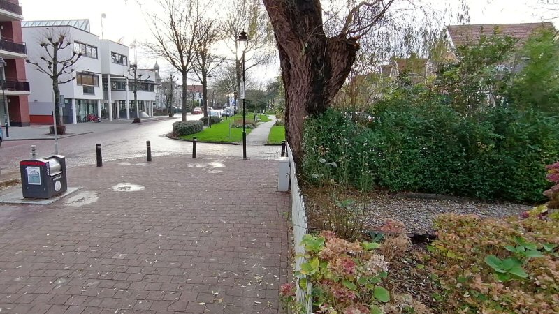 Mogelijk boom weg voor afvalcontainer