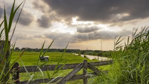 Eensgezind over toekomst landelijk gebied