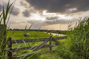 Noord-Hollanders eensgezind over toekomst landelijk gebied