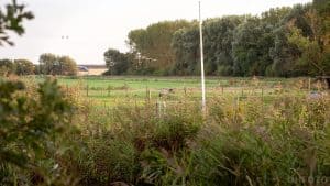 Groot deel raad tegen woningbouw op Streepjesberg en Landje van Berts