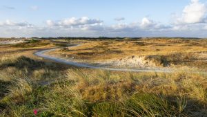 Landschap Noord-Holland zoekt vrijwilligers