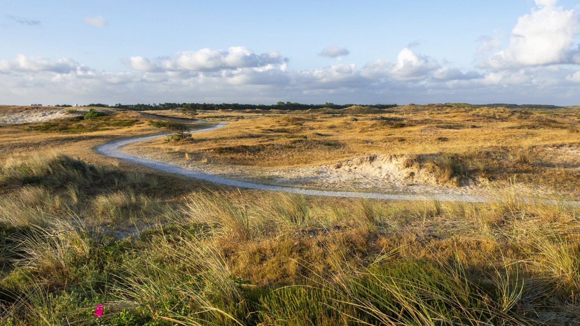 Landschap Noord-Holland zoekt vrijwilligers