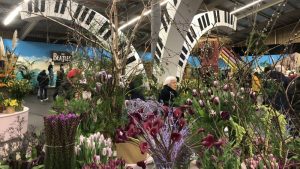 Mooie bloemenpracht in Lentetuin