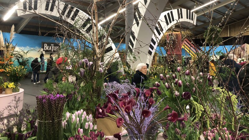 Mooie bloemenpracht in Lentetuin