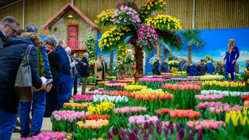 Lentetuin Breezand; daar zit muziek in