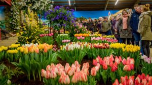 41ste Lentetuin Breezand verschuift naar 2023