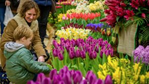 Lentetuin Breezand komt sterk terug