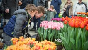 Lentetuin Breezand terug van weggeweest