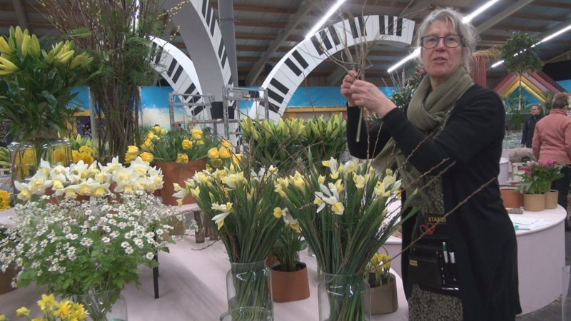 Lentekriebels in Breezand