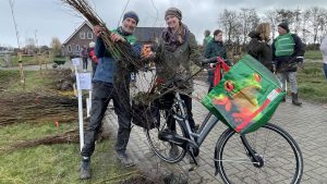 Gratis bomen ophalen in Middenmeer