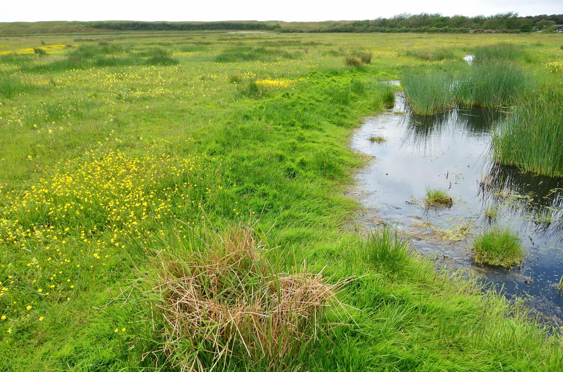 Landschap Noord-Holland organiseert wandeltocht door Mariëndal bij Den Helder