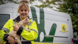 Dierenambulance hard op zoek naar vrijwilligers
