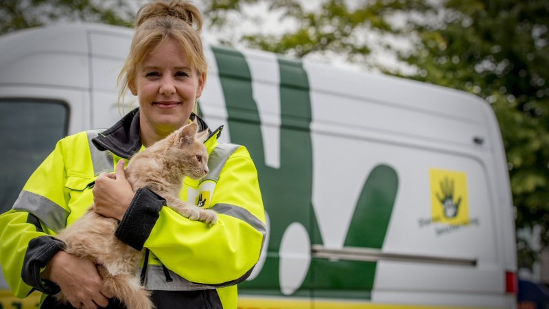 Dierenambulance hard op zoek naar vrijwilligers