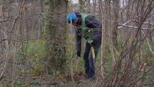 Meer Bomen Nu voor het eerst in Kolhorn