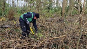 Vrijwilligers gezocht voor oogstdag in Wieringerwaard