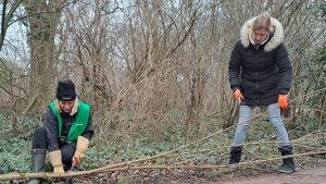 Oogstdagen Meer Bomen Nu in Hollands Kroon