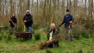 15.000 gratis bomen voor inwoners Schagen