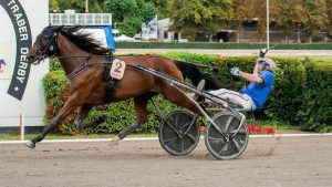Groot succes voor Michel Rothengatter
