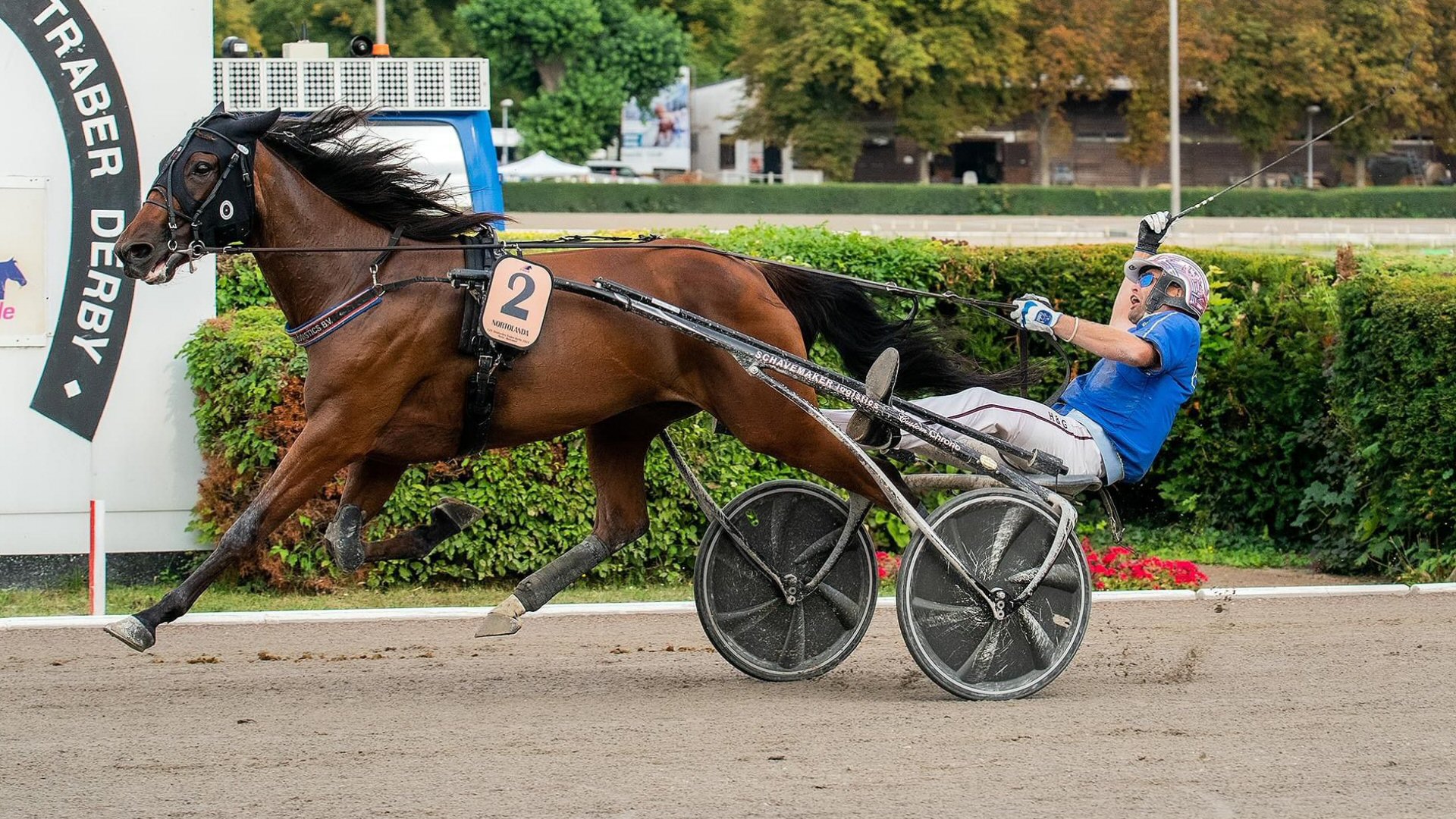 Groot succes voor Michel Rothengatter