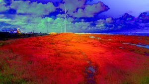 Tentoonstelling ‘Down to Earth’ bij Kunsthal 45