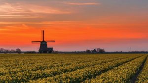 Uit onderzoek blijkt: molen PV is de oudste
