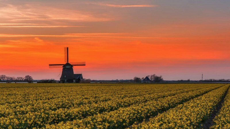 Uit onderzoek blijkt: molen PV is de oudste