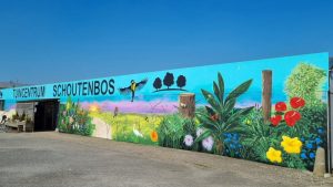 Ook muurkunst in ‘t Zand en Warmenhuizen