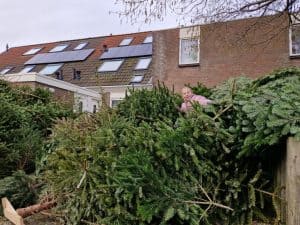 Nami sleepte al 200 bomen bij elkaar