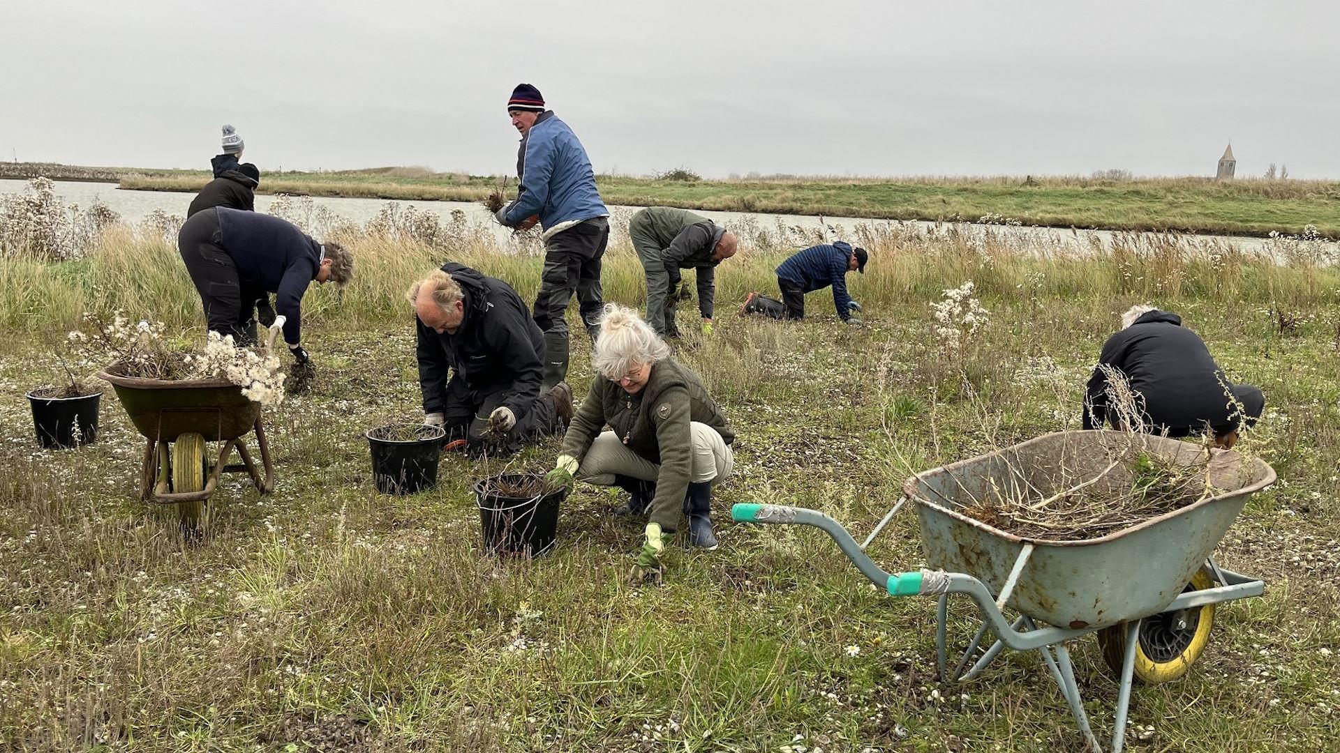 Video: Vrijwilligers knappen kleiput bij Vatrop op