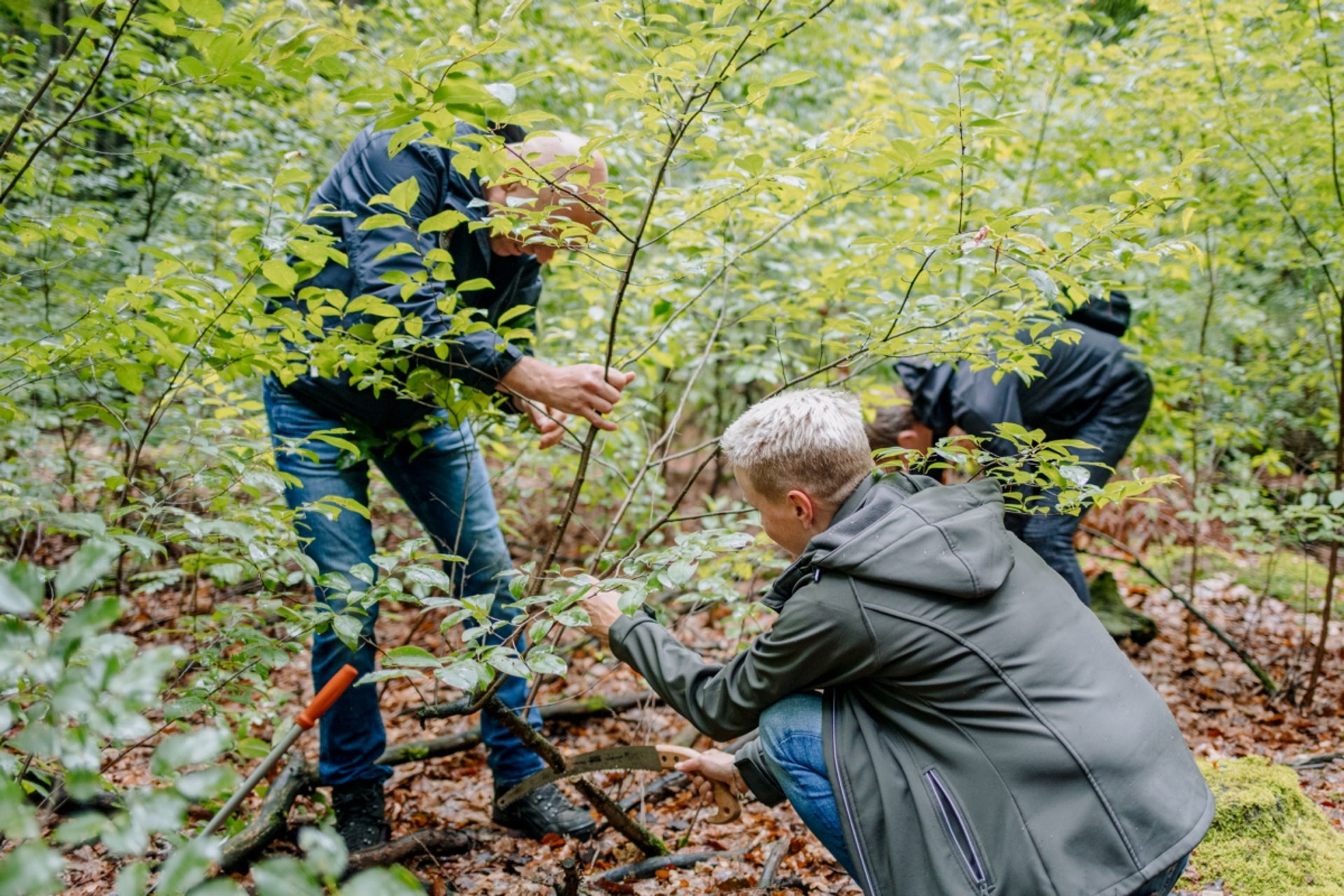 Klussen in de natuur tijdens de jaarlijkse Natuurwerkdag