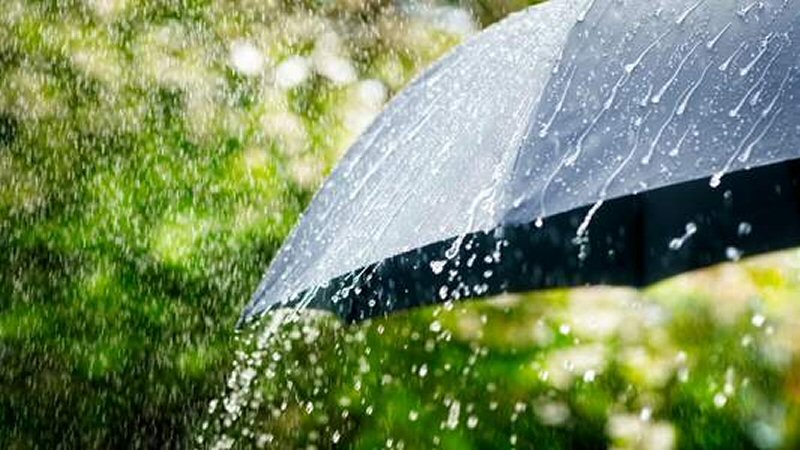 Meteo Tuitjenhorn: wisselvallige nazomer
