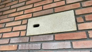 Mens en dier vinden onderdak op Westerpark
