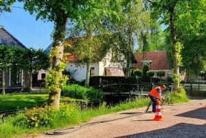 VVD maakt zich zorgen over bomen langs Dorpsstraat Nieuwe Niedorp