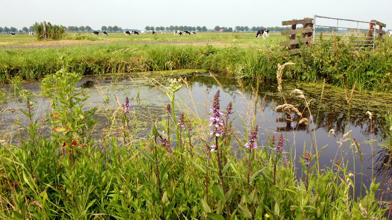 PAS-melders moeten nog anderhalf jaar wachten