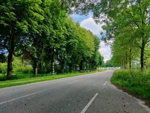 Nieuwesluizerweg aangepakt, gemeente organiseert informatieavond