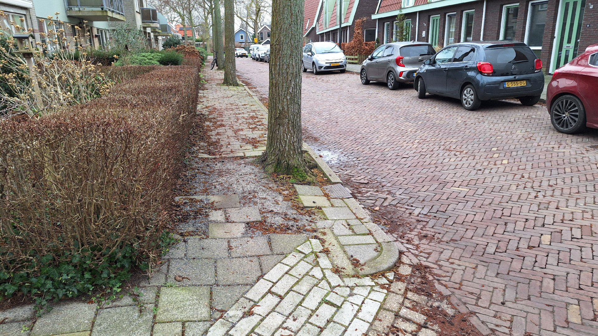 Boek met slechte stoepen naar Heddes