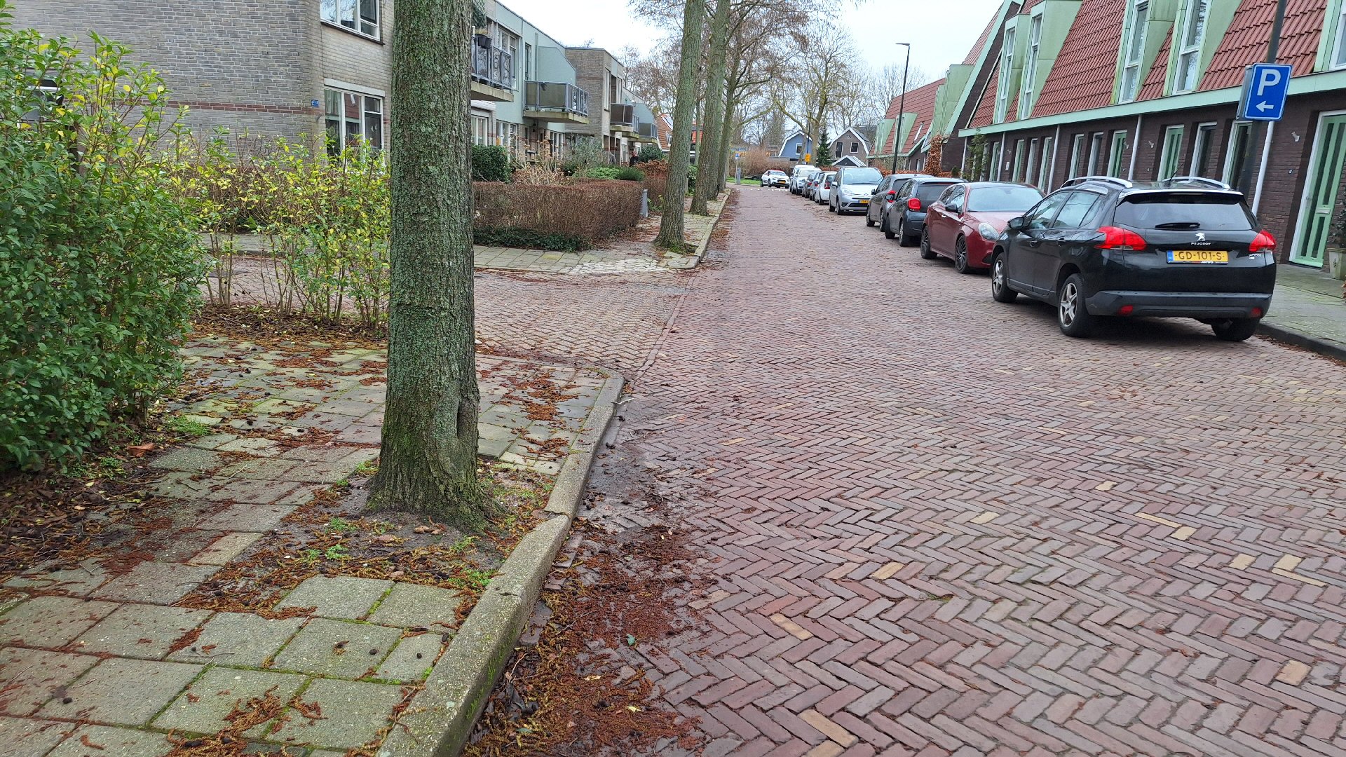 Wandelende wethouder geen oplossing