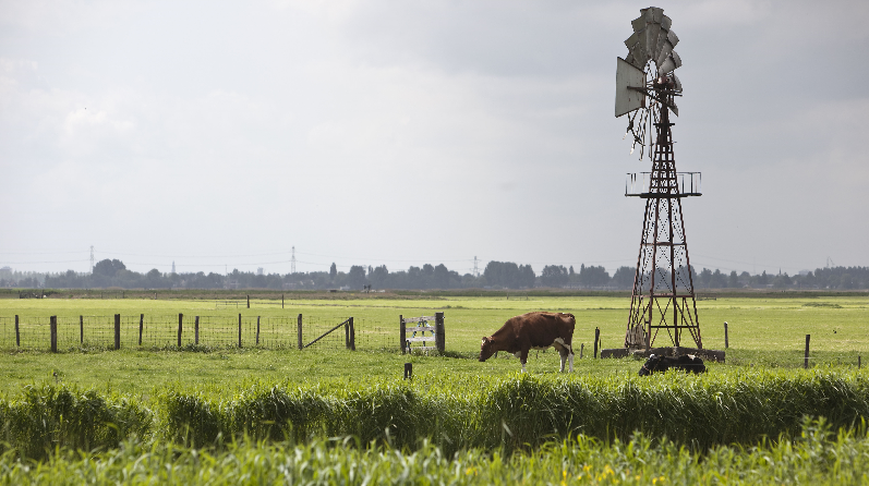 Meepraten over landelijk gebied