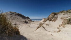 Wandeling door strand, bos en duinen op 30 september