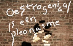 Odile Schmidt presenteert haar verhalenbundel ‘Oestrogeniaal’