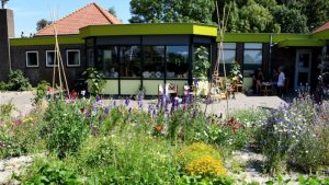 Actie: ‘Geef OldSkoel een warm gevoel’