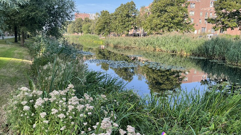 Onderzoek naar vies water stortplaatsen