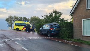 Auto belandt in heg